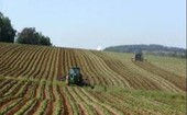 Destinati 73 milioni agli agricoltori italiani dalla Commissione europea Destinati 73 milioni agli agricoltori italiani dalla Commissione europea