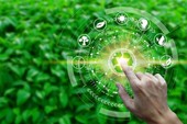 Sempre più richieste le competenze green, interessano otto assunzioni su dieci
