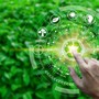Sempre più richieste le competenze green, interessano otto assunzioni su dieci