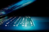 Approvata dal Parlamento Ue la convenzione dell’Onu contro la criminalità informatica Approvata dal Parlamento Ue la convenzione dell’Onu contro la criminalità informatica