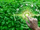 Sempre più richieste le competenze green, interessano otto assunzioni su dieci