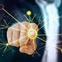 In autunno parte il sistema europeo di ingressi/uscite con dati biometrici