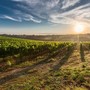 Superano i venti miliardi le esportazioni agroalimentari dell’Unione europea