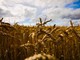 Arrivano misure europee di sostegno per gli agricoltori colpiti dalla crisi dei fertilizzanti