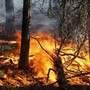 Emergenza roghi in Algeria, 193 incendi devastano il nord del Paese, in campo aerei ed elicotteri