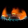 Stop al gas russo, votata la proposta della Commissione europea Stop al gas russo, votata la proposta della Commissione europea