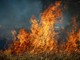 Los Angeles in fiamme, incendio causa cinque vittime Los Angeles in fiamme, incendio causa cinque vittime