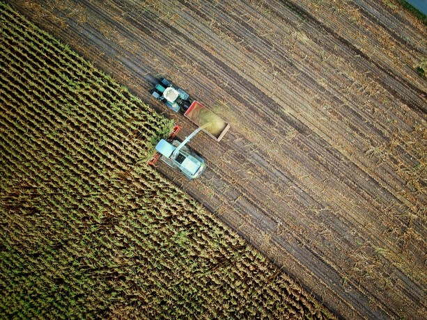 Agea, liquidità alle imprese agricole: in agosto erogati oltre 141 milioni di euro