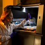 Botulismo in Italia: trend, dati e rischi legati alle conserve domestiche