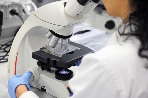 Il Parlamento europeo vota una risoluzione per il piano di lotta contro il cancro Il Parlamento europeo vota una risoluzione per il piano di lotta contro il cancro