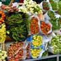 Nuovo slancio per il florovivaismo italiano: crescita, export e sfide future