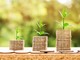 Prestiti in calo dell’1,5% negli ultimi dodici mesi secondo i dati della Banca d’Italia Prestiti in calo dell’1,5% negli ultimi dodici mesi secondo i dati della Banca d’Italia