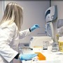 A quasi cinquecento giovani ricercatori europei vanno 761 milioni per avviarli al futuro