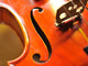Il ‘Music in the Eu’ registra ricavi per sei miliardi di euro su base annuale Il ‘Music in the Eu’ registra ricavi per sei miliardi di euro su base annuale