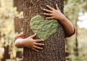 Le imprese manifatturiere crescono agendo in favore della sostenibilità ambientale
