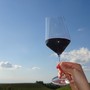 La Commissione europea propone misure mirate a sostenere il settore vitivinicolo