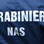 I carabinieri del Nas smantellano un traffico nazionale di farmaci anabolizzanti