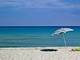 Sono più di trenta milioni gli italiani che si concederanno almeno una vacanza estiva