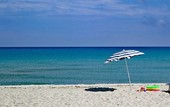 Sono più di trenta milioni gli italiani che si concederanno almeno una vacanza estiva