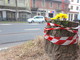 Fiori gialli su quel che resta dei ceppi di Corso Belgio. I residenti: "Delusi, nessuno ci ha avvisati" [FOTO E VIDEO]