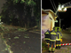 Il maltempo colpisce il Varesotto: blackout, allagamenti, alberi sradicati