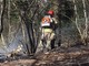 Incendio boschivo a Verdasio, nel Locarnese