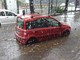 Trombe d'aria, pioggia e grandine: Torino fa i conti con il maltempo (FOTO e VIDEO) Trombe d'aria, pioggia e grandine: Torino fa i conti con il maltempo (FOTO e VIDEO)