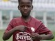 Il mondo granata piange il piccolo Ismael: l'addio del Torino Fc Il mondo granata piange il piccolo Ismael: l'addio del Torino Fc