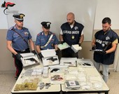 Cocaina, fucili e pistole sepolti nel bosco, operazione shock tra Torino e il Canavese [VIDEO]