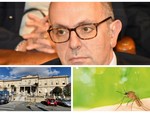 Dengue a Sanremo, il primario Cenderello: "Nessun allarme, è soprattutto un caso di interesse epidemiologico"