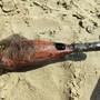 Allarme bomba ai Bagni Il Cubo: un bambino trova un ordigno tra gli scogli, area chiusa in attesa degli artificieri Allarme bomba ai Bagni Il Cubo: un bambino trova un ordigno tra gli scogli, area chiusa in attesa degli artificieri