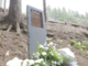Tragedia del Mottarone, morta la madre di una vittima varesina. Un anno fa aveva protestato chiedendo giustizia Tragedia del Mottarone, morta la madre di una vittima varesina. Un anno fa aveva protestato chiedendo giustizia