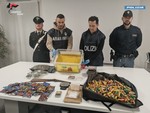 VIDEO. Cocaina "nascosta" nella cera d'api, carabinieri e polizia stroncano traffico di droga dal Perù: sei persone arrestate tra Varese e Novara