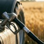 Gasolio agricolo, in arrivo otto milioni di euro per le aziende piemontesi Gasolio agricolo, in arrivo otto milioni di euro per le aziende piemontesi