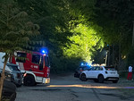 Rinvenuto il cadavere di uomo in un bosco a Varese