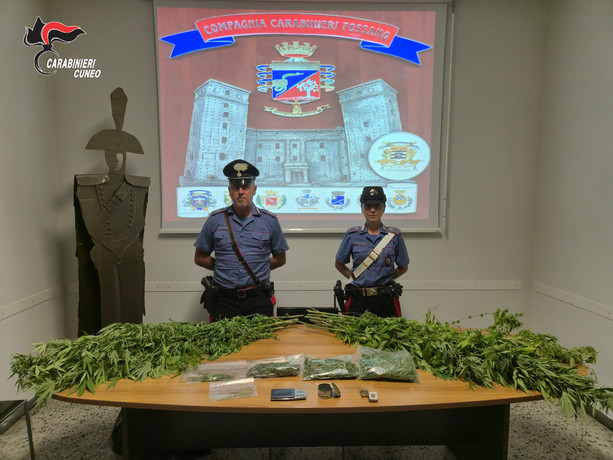 Fossano, 69enne agli arresti per coltivazione e detenzione di marijuana ai fini di spaccio