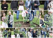 Sanremo: la 'Rosa di Damasco' testimone di pace da questa mattina è nei giardini di Villa Ormond (Foto e Video)