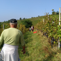 Controlli estivi nel settore agricolo: irregolare il 69% delle 155 aziende ispezionate in provincia