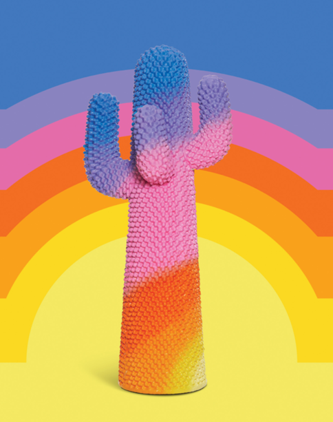 Dal 6 luglio a Nuovo Museo Nazionale di Monaco si apre la mostra &quot;Cactus&quot;