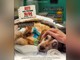 Torna ad Asti la super veterinaria Monica Pais per presentare il docufilm girato nella clinica veterinaria più famosa d'Italia, la Duemari di Oristano
