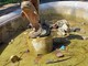 Sanremo: pietre e massi lanciati nella fontana ai giardini di Villa del Sole, i controlli dove sono? (Foto) Sanremo: pietre e massi lanciati nella fontana ai giardini di Villa del Sole, i controlli dove sono? (Foto)