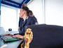 Truffe estive online: la guida di Polizia di Stato e Airbnb per viaggiare in sicurezza