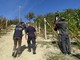 Controlli anticaporalato nelle vigne e nei frutteti della Granda: irregolari sei imprese su dieci Controlli anticaporalato nelle vigne e nei frutteti della Granda: irregolari sei imprese su dieci