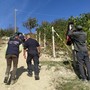 Contrasto al caporalato: multe per 50mila euro dopo controlli dei Carabinieri di Alba durante l’ultima vendemmia