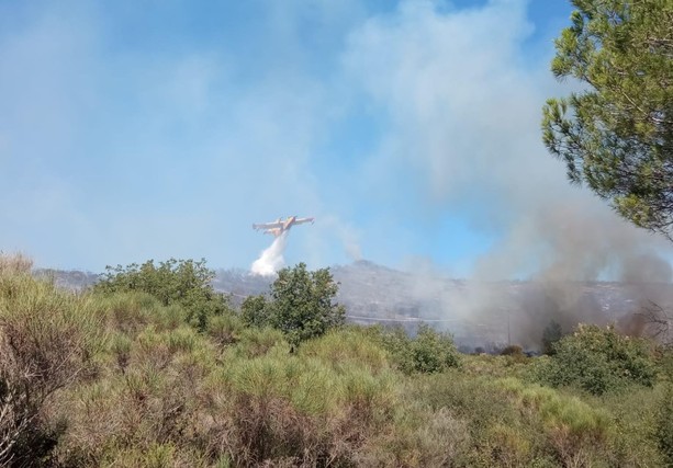 Incendio boschivo sulle alture di Alassio: mobilitati vigili del fuoco e volontari (FOTO) Incendio boschivo sulle alture di Alassio: mobilitati vigili del fuoco e volontari (FOTO)