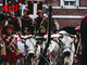 Per i 750 anni del Palio un'edizione straordinaria del corteo storico
