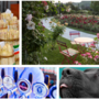 A SPASSO NEL WEEKEND. Fiera dell'Asparago, Varese Beer Festival, Musi di Varese, Festa delle Rose, un grande concerto gospel al Lyceum e non solo: boom di caldo ed eventi A SPASSO NEL WEEKEND. Fiera dell'Asparago, Varese Beer Festival, Musi di Varese, Festa delle Rose, un grande concerto gospel al Lyceum e non solo: boom di caldo ed eventi