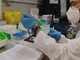 Coronavirus: numeri stazionari oggi in Liguria, 60 nuovi casi a Genova Coronavirus: numeri stazionari oggi in Liguria, 60 nuovi casi a Genova