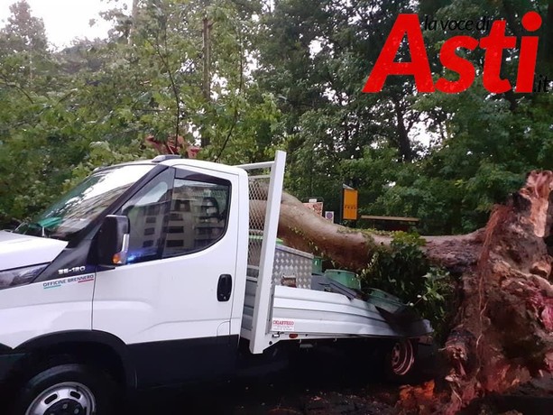 Il maltempo flagella anche Asti: un albero è caduto su un furgone in via Rosselli