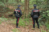 Centinaia di cessioni di cocaina, eroina e hashish nei boschi: pusher in manette Centinaia di cessioni di cocaina, eroina e hashish nei boschi: pusher in manette
